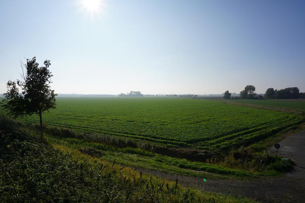 Herberg De Ring Dreischor Екстериор снимка